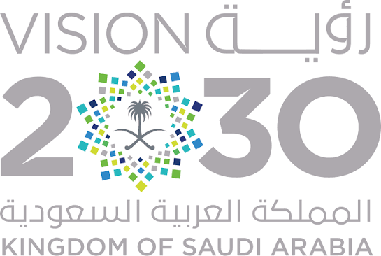 沙特“2030 愿景”(Vision 2030)